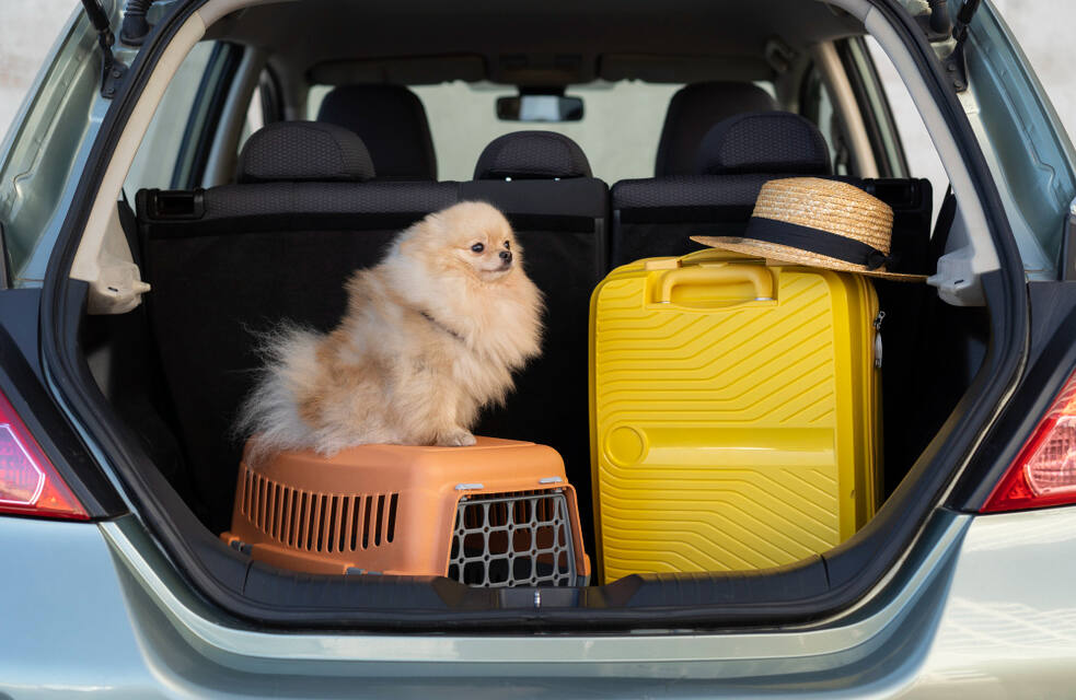 Transport animaux