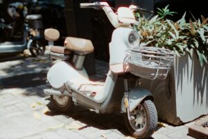 Transport écologique